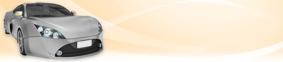 ̐I炪`鈤Ԃ𒷎郁eiXp